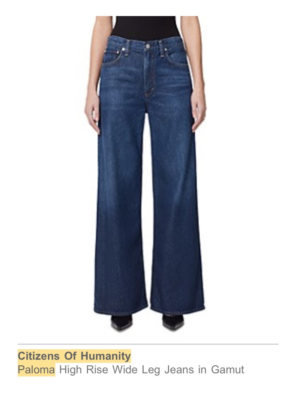 Citizens Of Humanity Wide Leg Jeans — Deep Blue